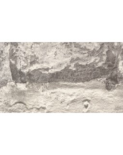 WL 3301 Обои Grandeco (Wanderlust) (1*12) 10,05х0,53  винил на флизелине-foto2