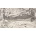WL 3301 Обои Grandeco (Wanderlust) (1*12) 10,05х0,53  винил на флизелине