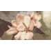 WL 2101 Обои Grandeco (Wanderlust) (1*12) 10,05х0,53  винил на флизелине