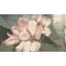 WL 2102 Обои Grandeco (Wanderlust) (1*12) 10,05х0,53  винил на флизелине