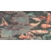 WL 2401 Обои Grandeco (Wanderlust) (1*12) 10,05х0,53  винил на флизелине