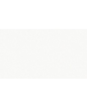 60271-01 Обои Erismann (Callisto) (1*6) 10,05x1,06 винил на флизелине-foto3