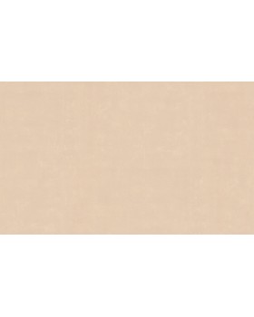 60271-04 Обои Erismann (Callisto) (1*6) 10,05x1,06 винил на флизелине