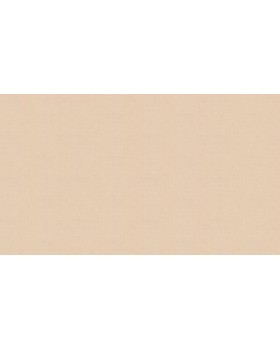 60271-04 Обои Erismann (Callisto) (1*6) 10,05x1,06 винил на флизелине-foto3