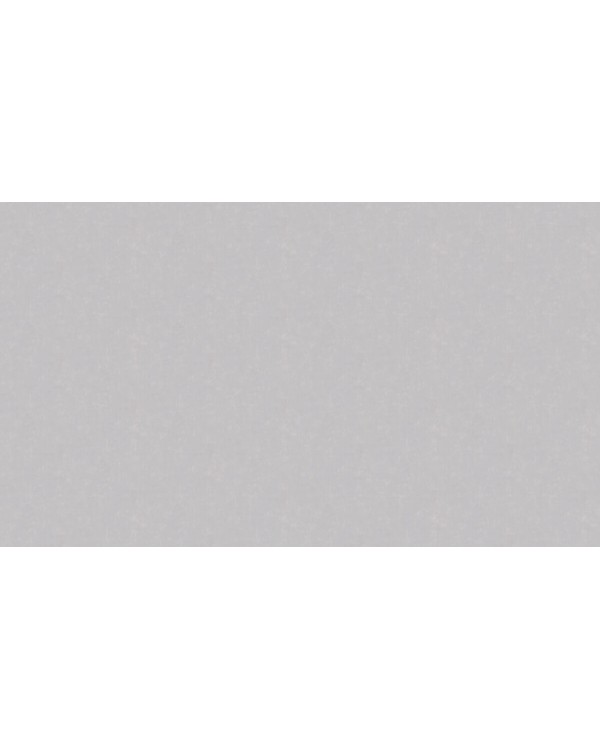 60271-06 Обои Erismann (Callisto) (1*6) 10,05x1,06 винил на флизелине