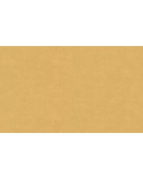 60271-07 Обои Erismann (Callisto) (1*6) 10,05x1,06 винил на флизелине