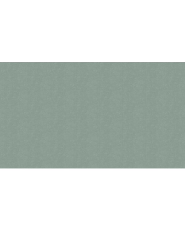 60271-09 Обои Erismann (Callisto) (1*6) 10,05x1,06 винил на флизелине