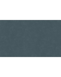 60271-11 Обои Erismann (Callisto) (1*6) 10,05x1,06 винил на флизелине
