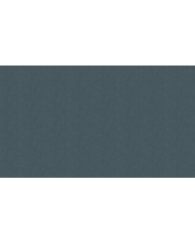 60271-11 Обои Erismann (Callisto) (1*6) 10,05x1,06 винил на флизелине-foto3