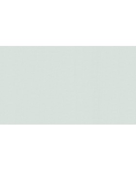 60287-05 Обои Erismann (Callisto) (1*6) 10,05x1,06 винил на флизелине