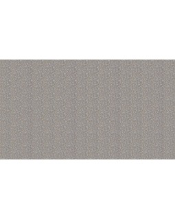 60289-07 Обои Erismann (Callisto) (1*6) 10,05x1,06 винил на флизелине-foto3