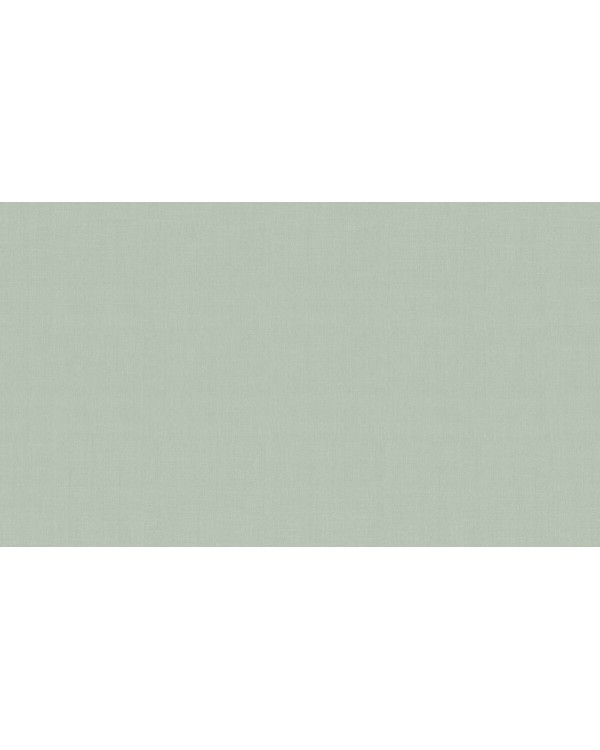 60290-06 Обои Erismann (Callisto) (1*6) 10,05x1,06 винил на флизелине