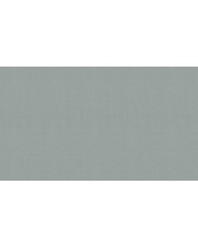 60290-13 Обои Erismann (Callisto) (1*6) 10,05x1,06 винил на флизелине