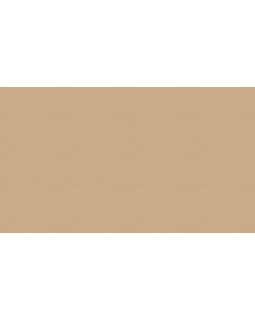 33915 Обои Marburg (Rainbow 3/Floralia) (1*6) 10,05x1,06 винил на флизелине-foto3