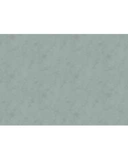 BN 220942 Обои BN (Preloved) (1*12) 10,05x0,53 винил на флизелине-foto2