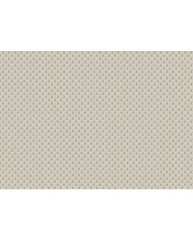 BN 220961 Обои BN (Preloved) (1*12) 10,05x0,53 винил на флизелине-foto2