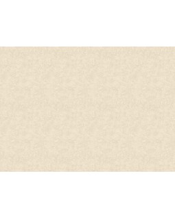 S-9519-2 Обои Yasham (Mirage) (1*6) 10,05x1,06 винил на флизелине-foto2