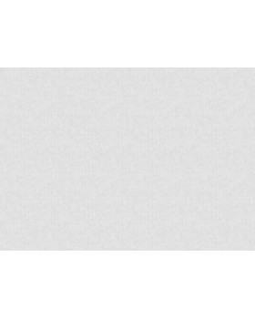 S-9006-1 Обои Yasham (Architect) (1*6) 10,05x1,06 винил на флизелине-foto2