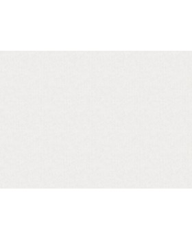 S-9006-2 Обои Yasham (Architect) (1*6) 10,05x1,06 винил на флизелине-foto2