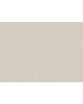 S-9006-5 Обои Yasham (Architect) (1*6) 10,05x1,06 винил на флизелине-foto2