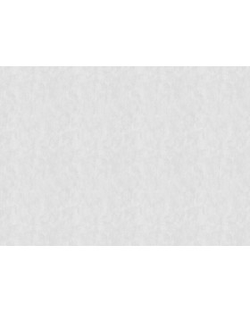 S-9011-5 Обои Yasham (Architect) (1*6) 10,05x1,06 винил на флизелине-foto2