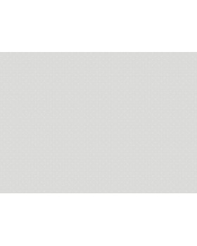 JR 1111 Обои Grandeco (Jack 'n Rose 2024) (1*12) 10,05х0,53  винил на флизелине-foto2