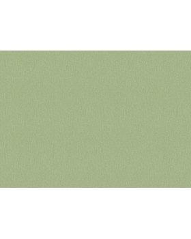 JR 1212 Обои Grandeco (Jack 'n Rose 2024) (1*12) 10,05х0,53 винил на флизелине-foto2