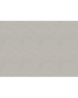 33504 Обои Marburg (Solid Contract - Newton) (1*4) 10,80x1,06 винил на флизелине-foto2