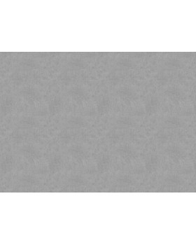 33508 Обои Marburg (Solid Contract - Newton) (1*4) 10,80x1,06 винил на флизелине-foto2