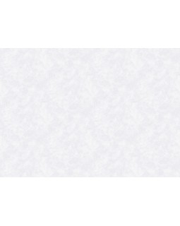 S-21555-2 Обои Yasham (Echo) (1*6) 10,05x1,06 винил на флизелине-foto2