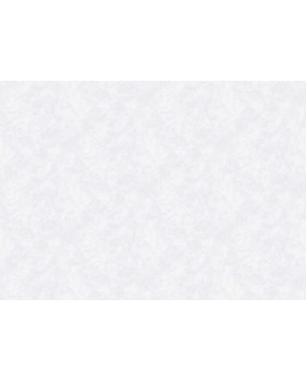 S-21555-2 Обои Yasham (Echo) (1*6) 10,05x1,06 винил на флизелине-foto2