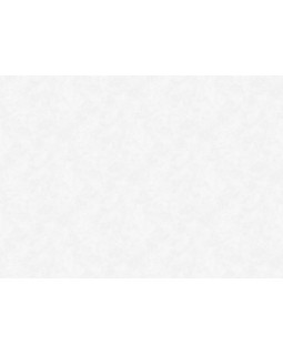 S-21555-1 Обои Yasham (Echo) (1*6) 10,05x1,06 винил на флизелине-foto2