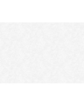 S-21555-1 Обои Yasham (Echo) (1*6) 10,05x1,06 винил на флизелине-foto2