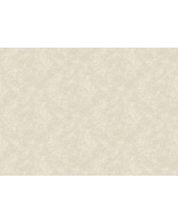 S-21555-5 Обои Yasham (Echo) (1*6) 10,05x1,06 винил на флизелине-foto2