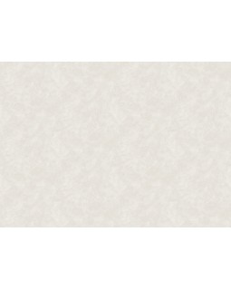 S-21555-4 Обои Yasham (Echo) (1*6) 10,05x1,06 винил на флизелине-foto2