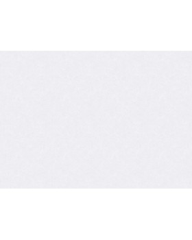 S-21551-1 Обои Yasham (Echo) (1*6) 10,05x1,06 винил на флизелине-foto2