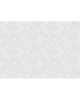 S-21555-3 Обои Yasham (Echo) (1*6) 10,05x1,06 винил на флизелине-foto2