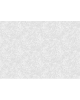 S-21555-3 Обои Yasham (Echo) (1*6) 10,05x1,06 винил на флизелине-foto2