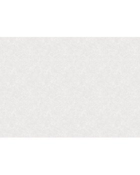 S-21551-2 Обои Yasham (Echo) (1*6) 10,05x1,06 винил на флизелине-foto2