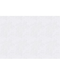 S-21550-1 Обои Yasham (Echo) (1*6) 10,05x1,06 винил на флизелине-foto2