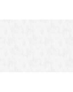 S-21553-1 Обои Yasham (Echo) (1*6) 10,05x1,06 винил на флизелине-foto2