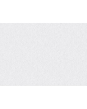 S-21603-2 Обои Yasham (Echo) (1*6) 10,05x1,06 винил на флизелине-foto2