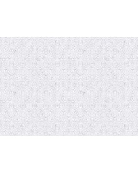 S-21607-2 Обои Yasham (Echo) (1*6) 10,05x1,06 винил на флизелине-foto2