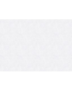 S-21607-1 Обои Yasham (Echo) (1*6) 10,05x1,06 винил на флизелине-foto2