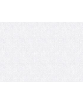 S-21607-1 Обои Yasham (Echo) (1*6) 10,05x1,06 винил на флизелине-foto2