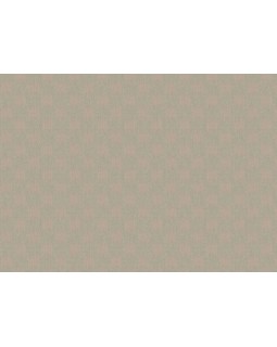 S-21609-5 Обои Yasham (Echo) (1*6) 10,05x1,06 винил на флизелине-foto2