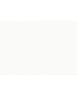 R111001 Обои Grandeco (DREAM) (1*6) 10,05х1,06 винил на флизелине-foto2