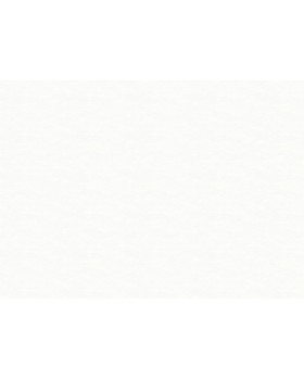 R111001 Обои Grandeco (DREAM) (1*6) 10,05х1,06 винил на флизелине-foto2