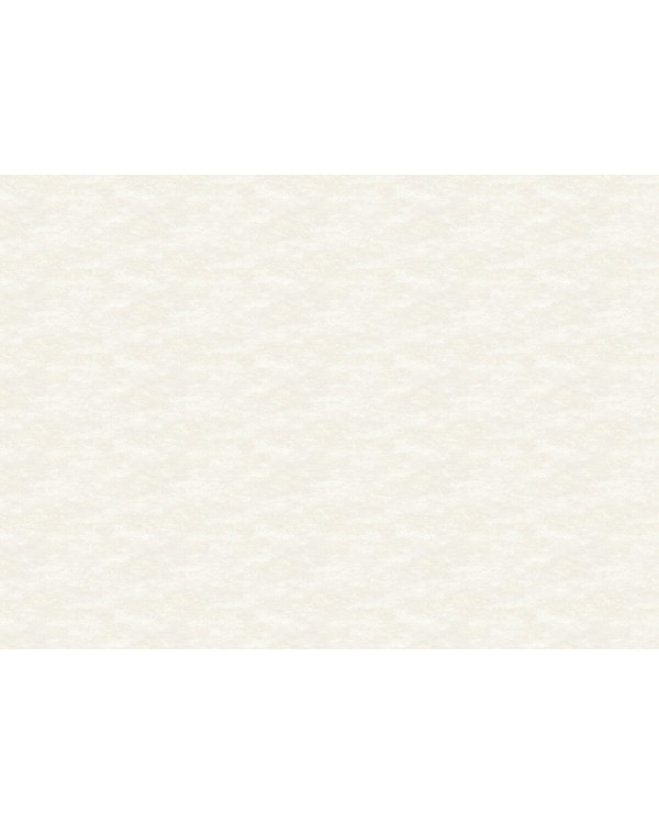 R111012 Обои Grandeco (FLAMENCO/DREAM) (1*6) 10,05х1,06 винил на флизелине