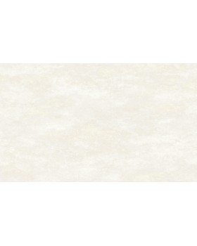 R111012 Обои Grandeco (TANGO/DREAM) (1*6) 10,05х1,06 винил на флизелине